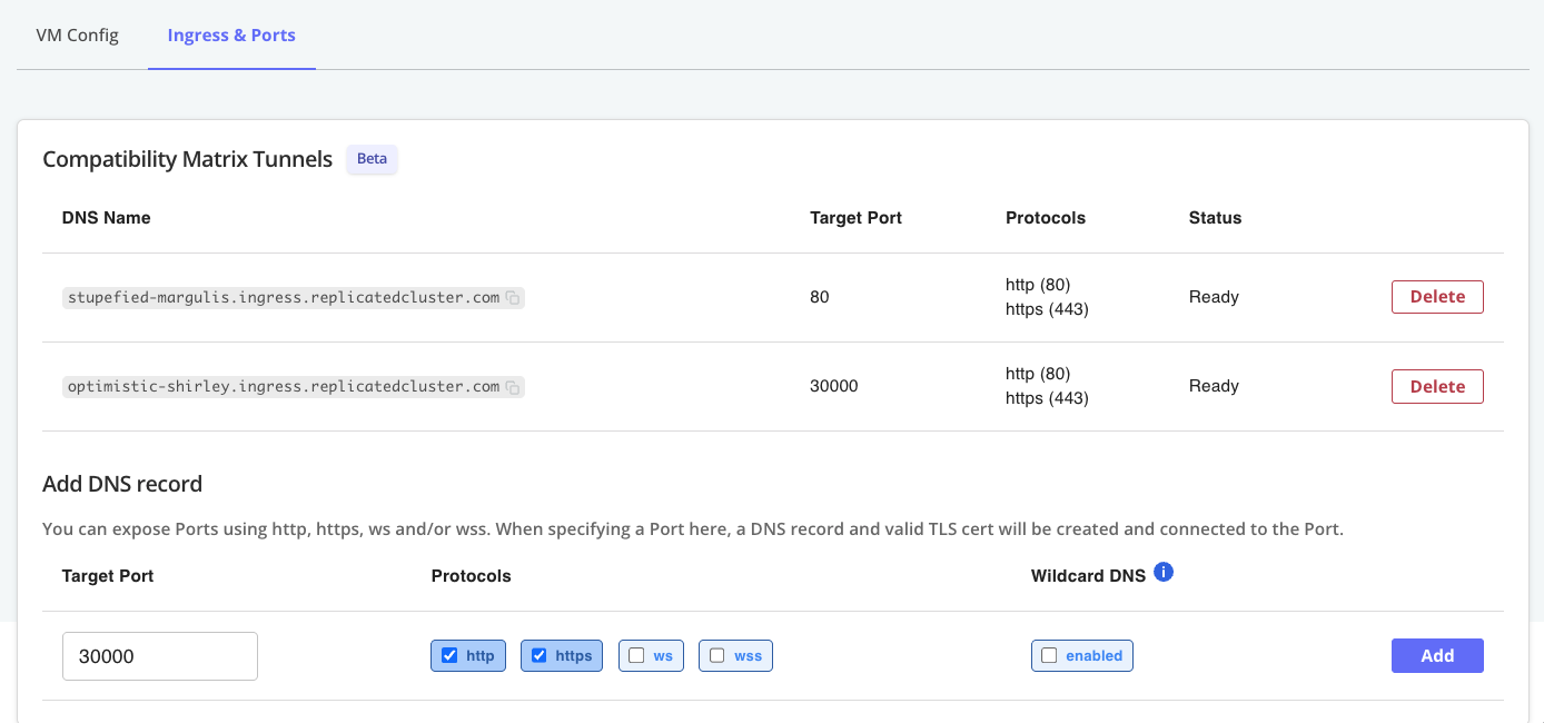 DNS record for a VM